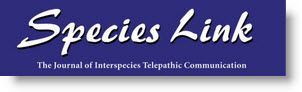 Species Link Journal Logo