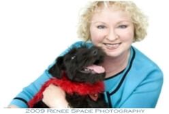 valneinsteintealtopwredscarf331x222