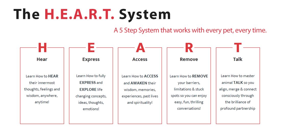 5 Step Heart System Solves Problems