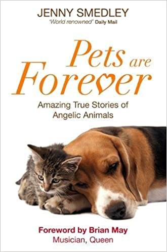 animal reincarnation pets are forever