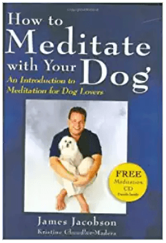 Meditation