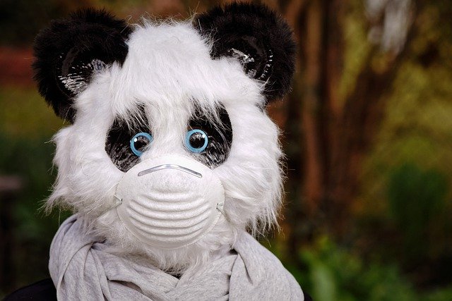 Help You and Your Pet