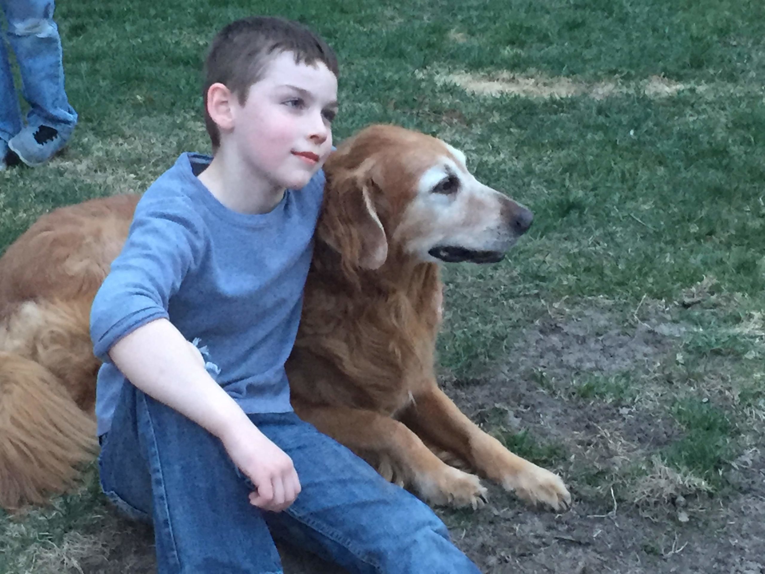 friendliest dog breeds golden retriever and boy