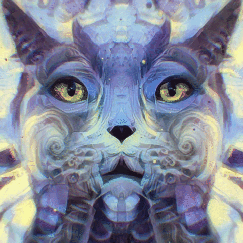 cats get high on catnip