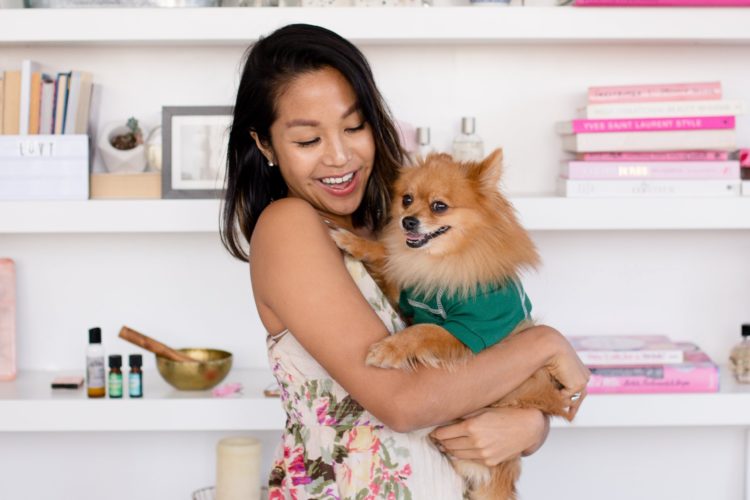 choose the right dog 2 