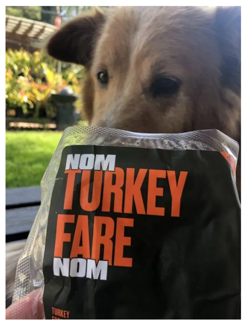 NomNomNow Dog Food 