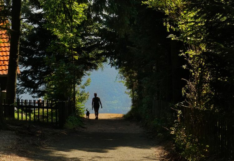 benefits of having pets 3