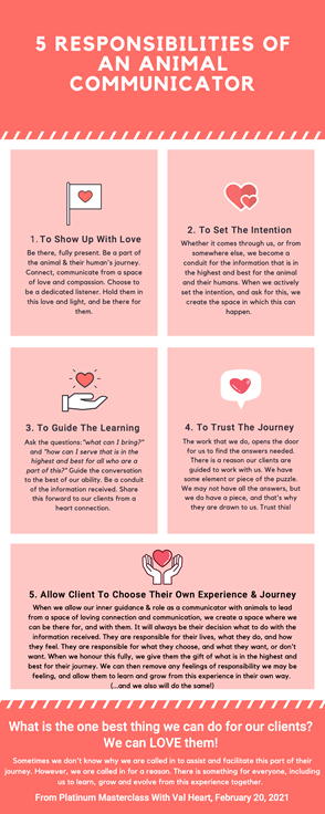 5 Responsibilities of an Animal Communicator
