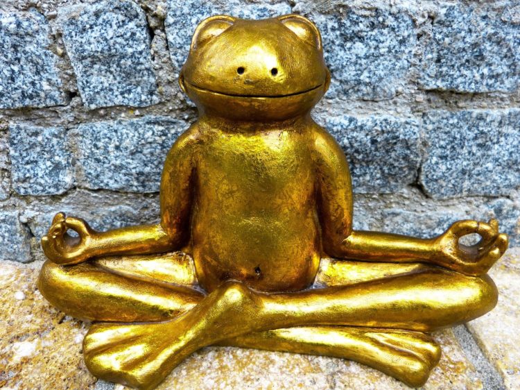 Animal Talk Gold Frog Buddha