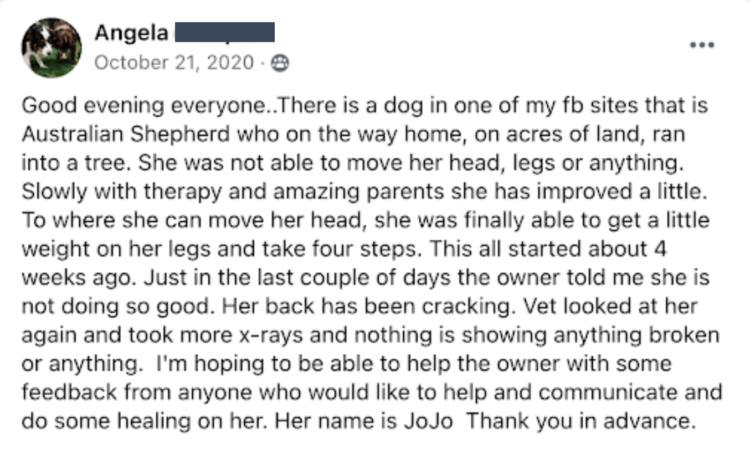 Angela with JoJo's story