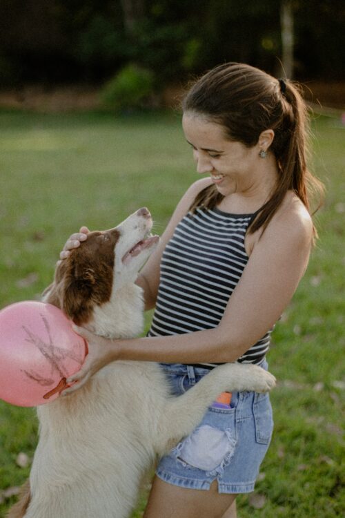 is my dog happy play