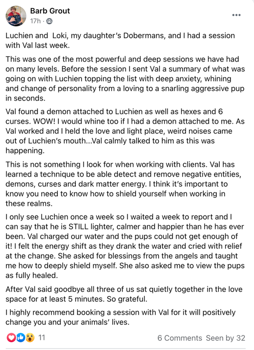 Barb Grout testimonial healing with luchien and loki