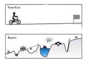 communication with animals plan vs reality